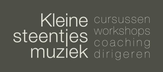 Kleine steentjes muziektrainingen